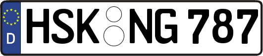 HSK-NG787