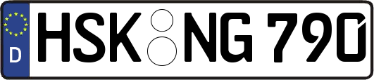 HSK-NG790