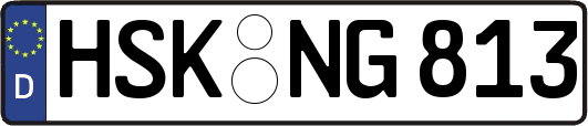 HSK-NG813