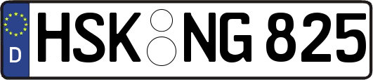 HSK-NG825