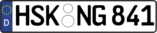 HSK-NG841