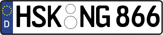 HSK-NG866