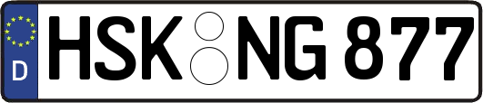 HSK-NG877