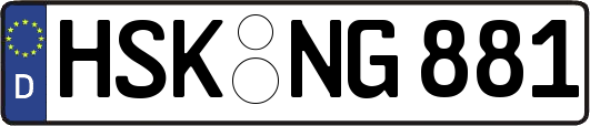 HSK-NG881