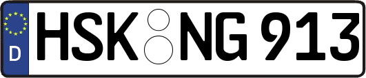 HSK-NG913