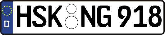 HSK-NG918