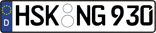 HSK-NG930