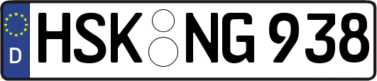 HSK-NG938