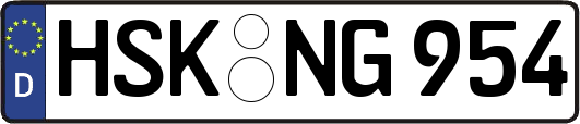 HSK-NG954