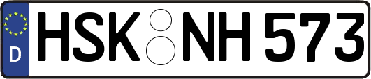 HSK-NH573