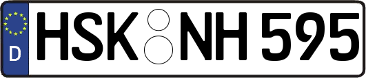 HSK-NH595
