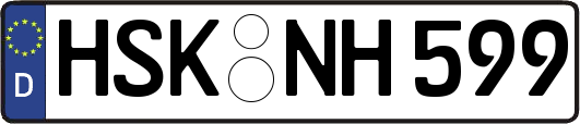 HSK-NH599