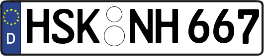 HSK-NH667