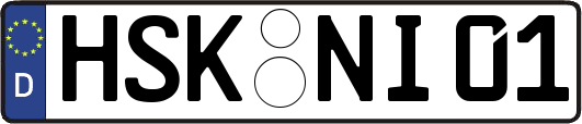 HSK-NI01