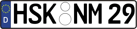 HSK-NM29