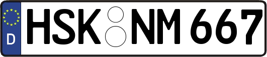HSK-NM667