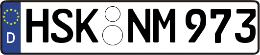 HSK-NM973