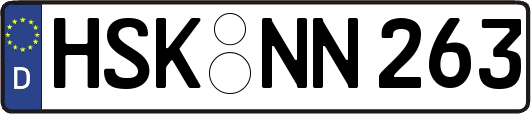 HSK-NN263