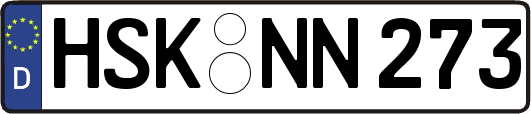 HSK-NN273