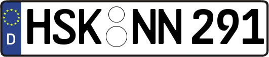 HSK-NN291
