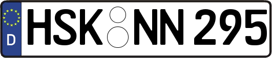 HSK-NN295