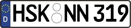HSK-NN319