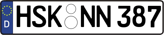 HSK-NN387