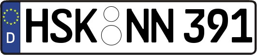 HSK-NN391