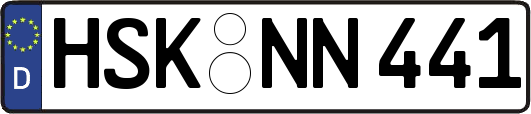 HSK-NN441
