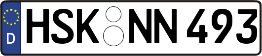 HSK-NN493