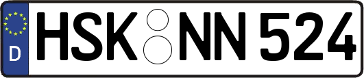 HSK-NN524