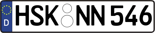 HSK-NN546