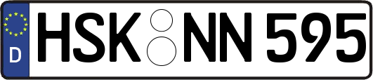 HSK-NN595