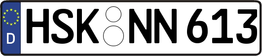 HSK-NN613