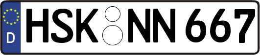 HSK-NN667