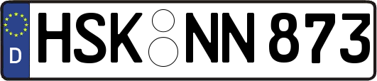HSK-NN873