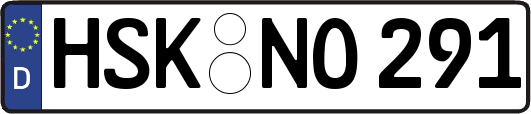 HSK-NO291
