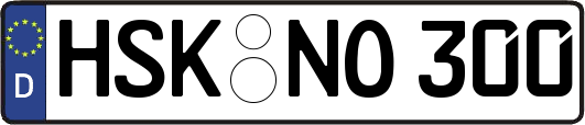 HSK-NO300