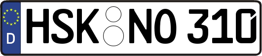 HSK-NO310