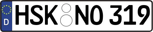 HSK-NO319
