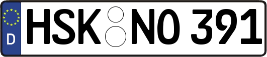 HSK-NO391