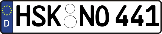 HSK-NO441