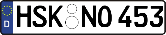 HSK-NO453