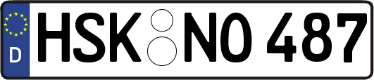 HSK-NO487