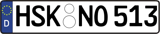 HSK-NO513