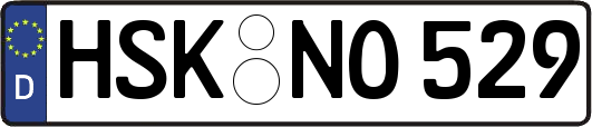 HSK-NO529