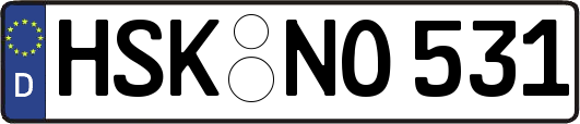 HSK-NO531