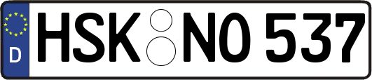 HSK-NO537