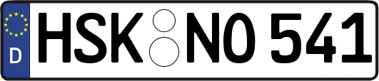 HSK-NO541