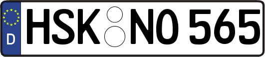 HSK-NO565